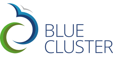 logo Blauwe Cluster